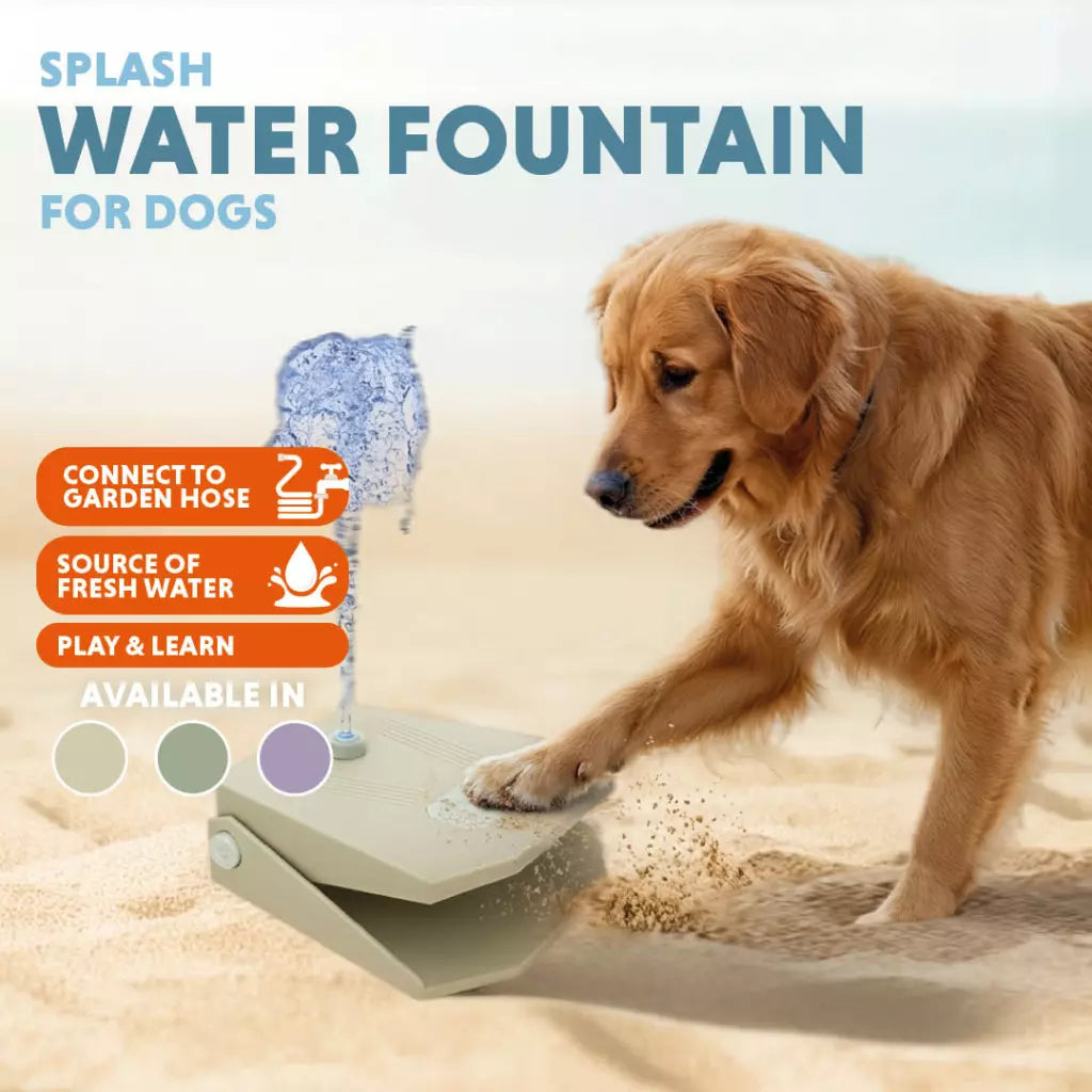 Fântână CoolPet Splash