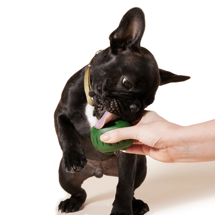 Tavă pentru Pupsicle