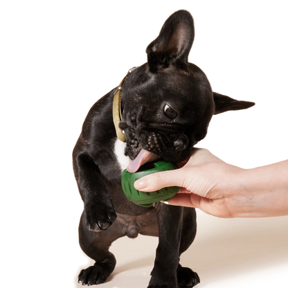 Tavă pentru Pupsicle
