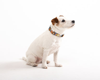 Zgarda Nightless Night