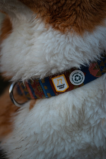 Zgarda Nightless Night