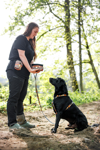 Lesă Nightless Night