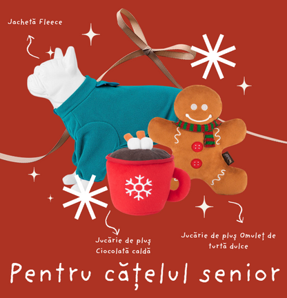 Cadou pentru cățelul senior