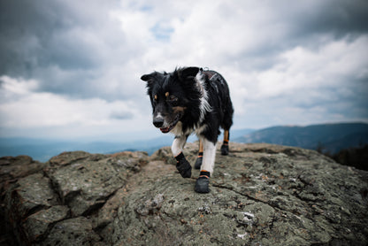 Protector Booties