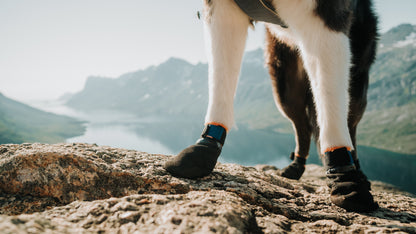 Protector Booties