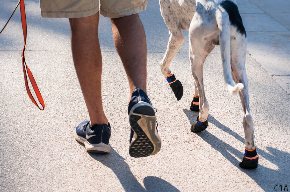 Protector Booties