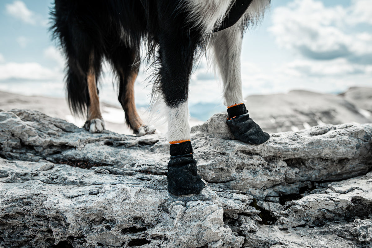 Protector Booties