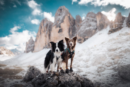 Protector Booties