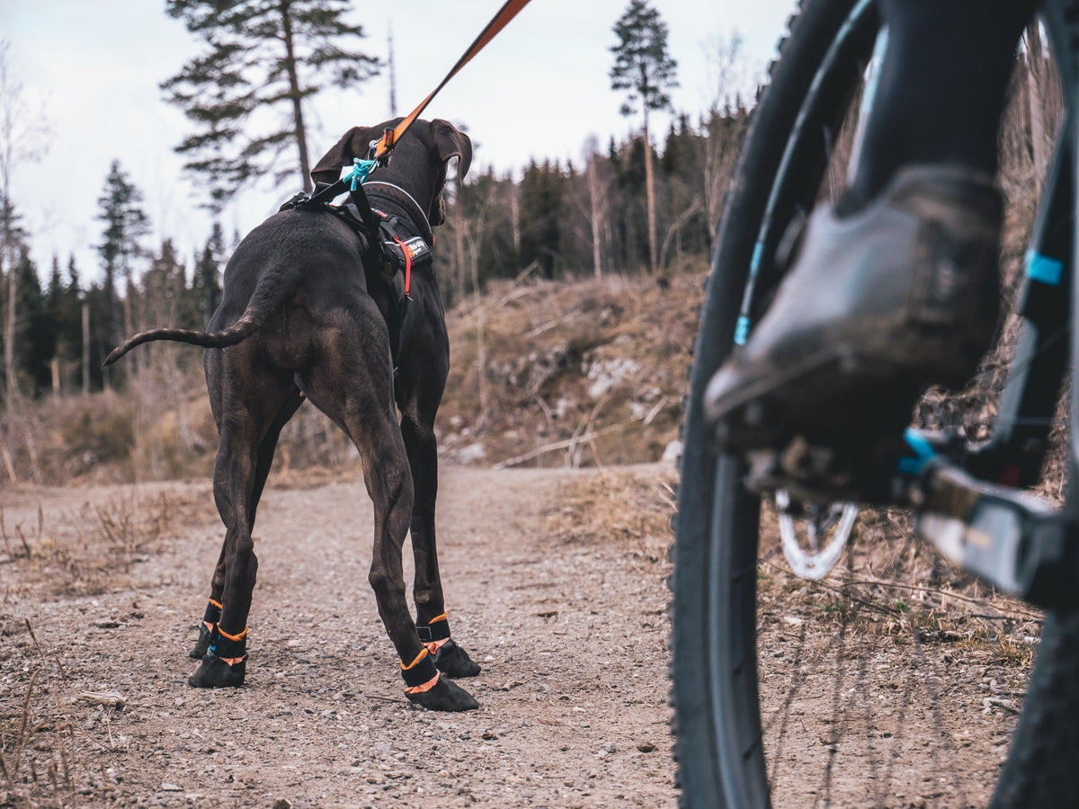Protector Booties