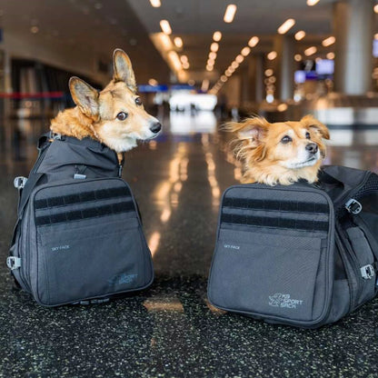 Rucsac 2 în 1 K9 Sport Sack Sky Pack
