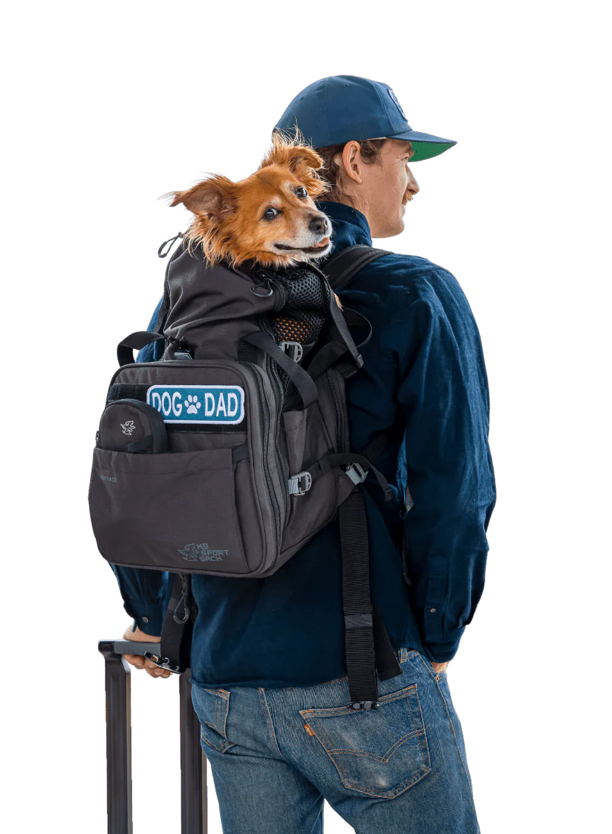 Rucsac 2 în 1 K9 Sport Sack Sky Pack