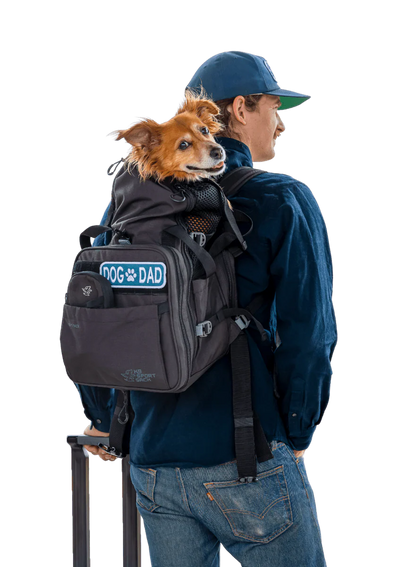 Rucsac 2 în 1 K9 Sport Sack Sky Pack