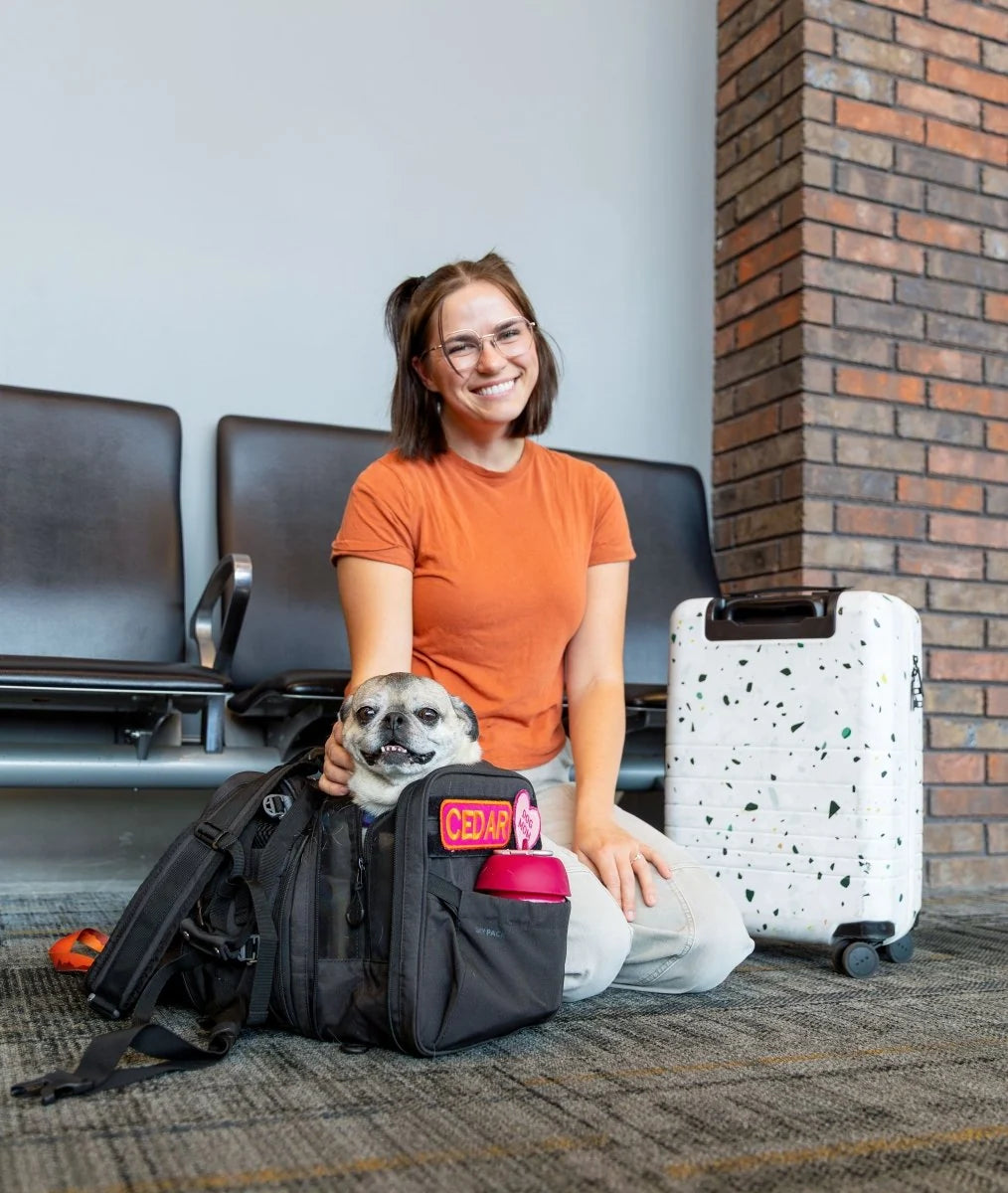 Rucsac 2 în 1 K9 Sport Sack Sky Pack