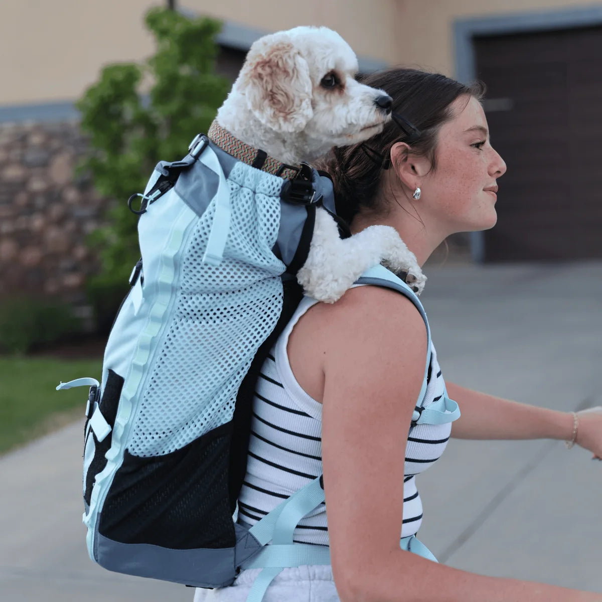 Rucsac K9 Sport Sack Kompanion
