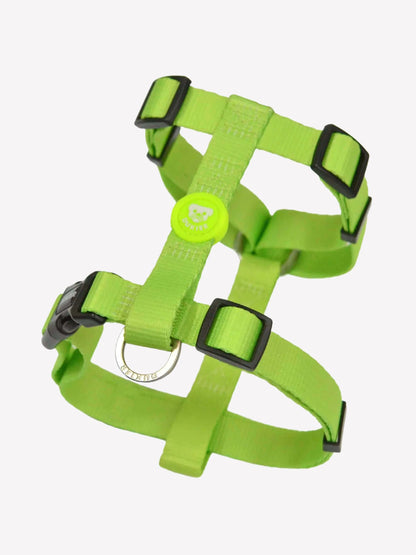 Ham Clasic Lime