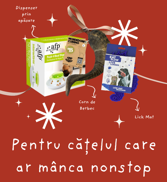 Cadou pentru cățelul care ar mânca nonstop