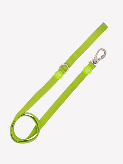 Lesă Clasic Lime