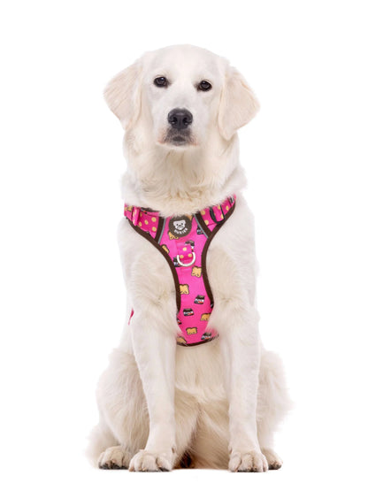 Ham Trail Dogtella