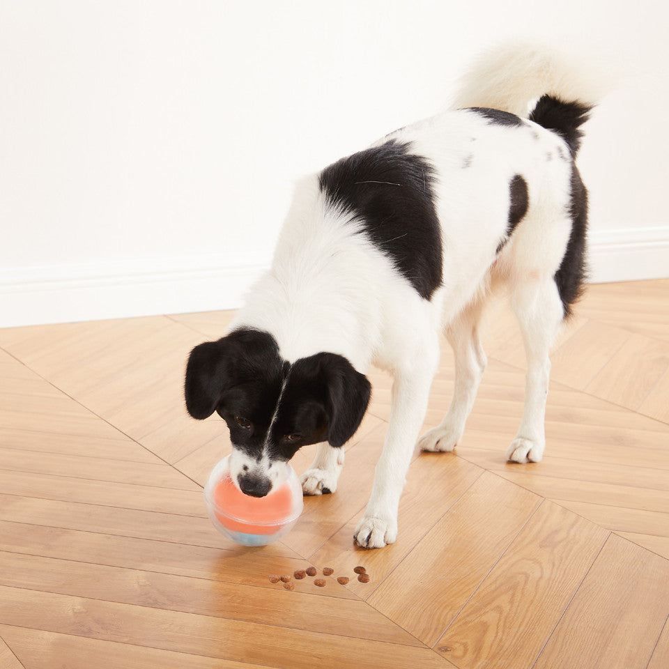 Dog Rumble