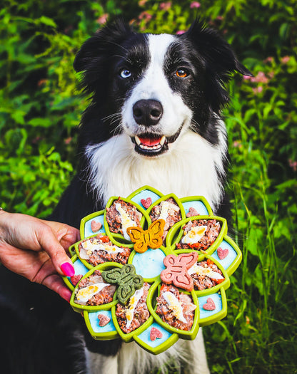 Mandala eTray
