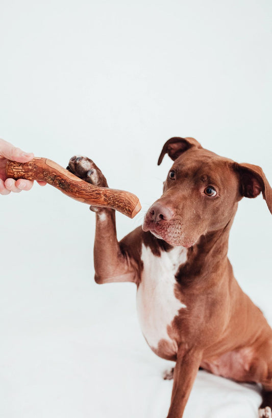 Lemn de măslin infuzat cu ulei de somon