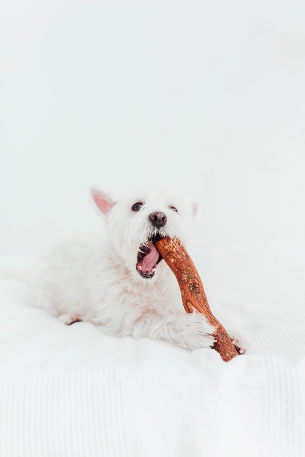 Lemn de măslin infuzat cu ulei de somon