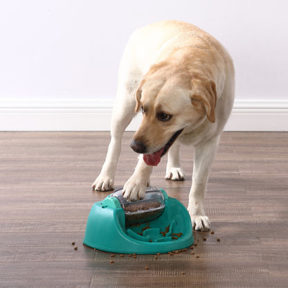 Dog Spin N' Eat