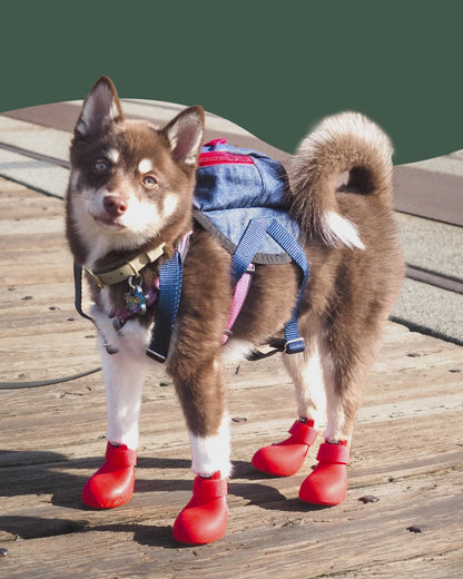 WagWellies® Mojave