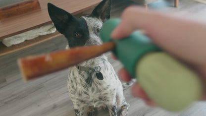 BullySafe Chew Holder