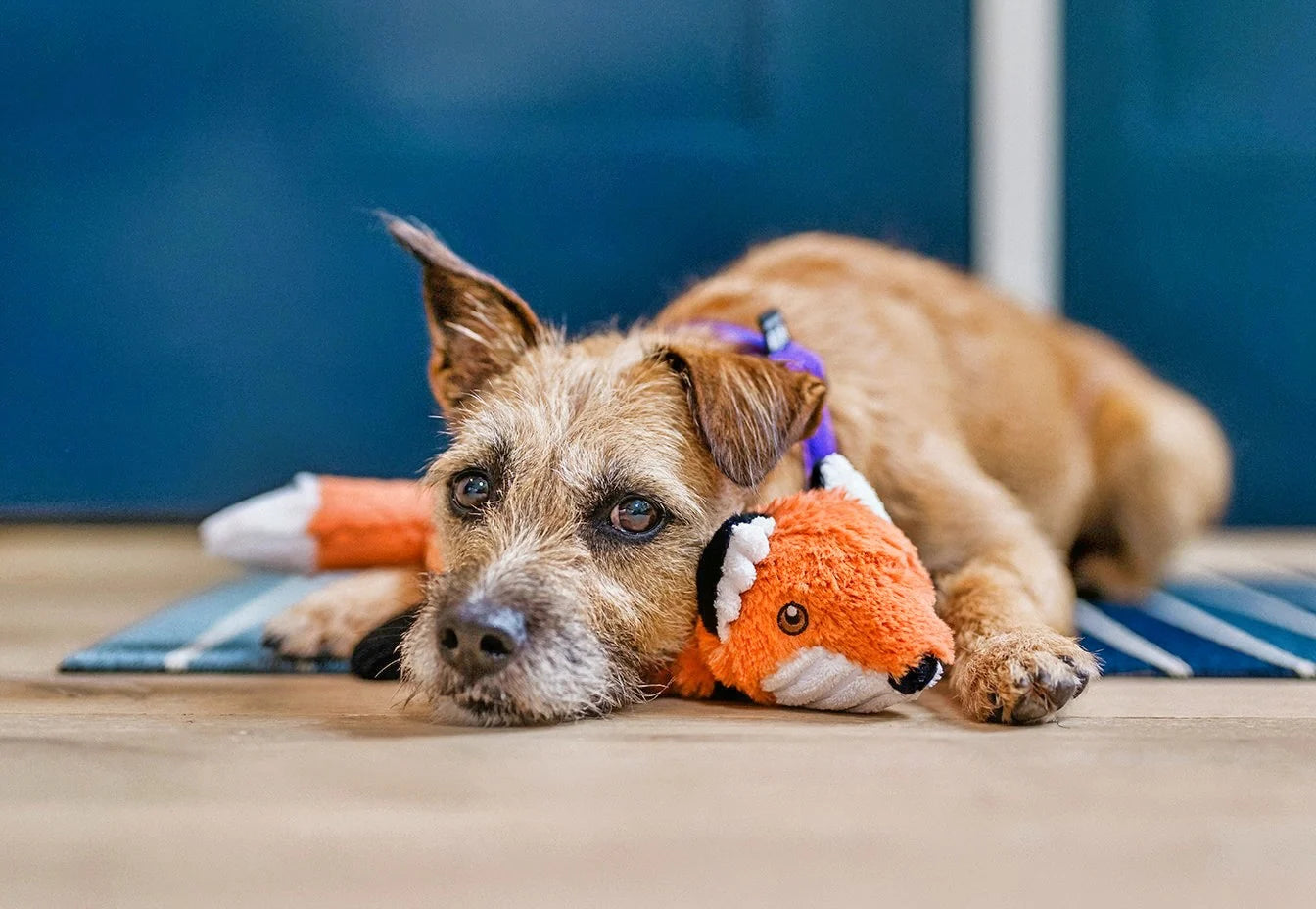 Forest Friends - Vulpea Forest