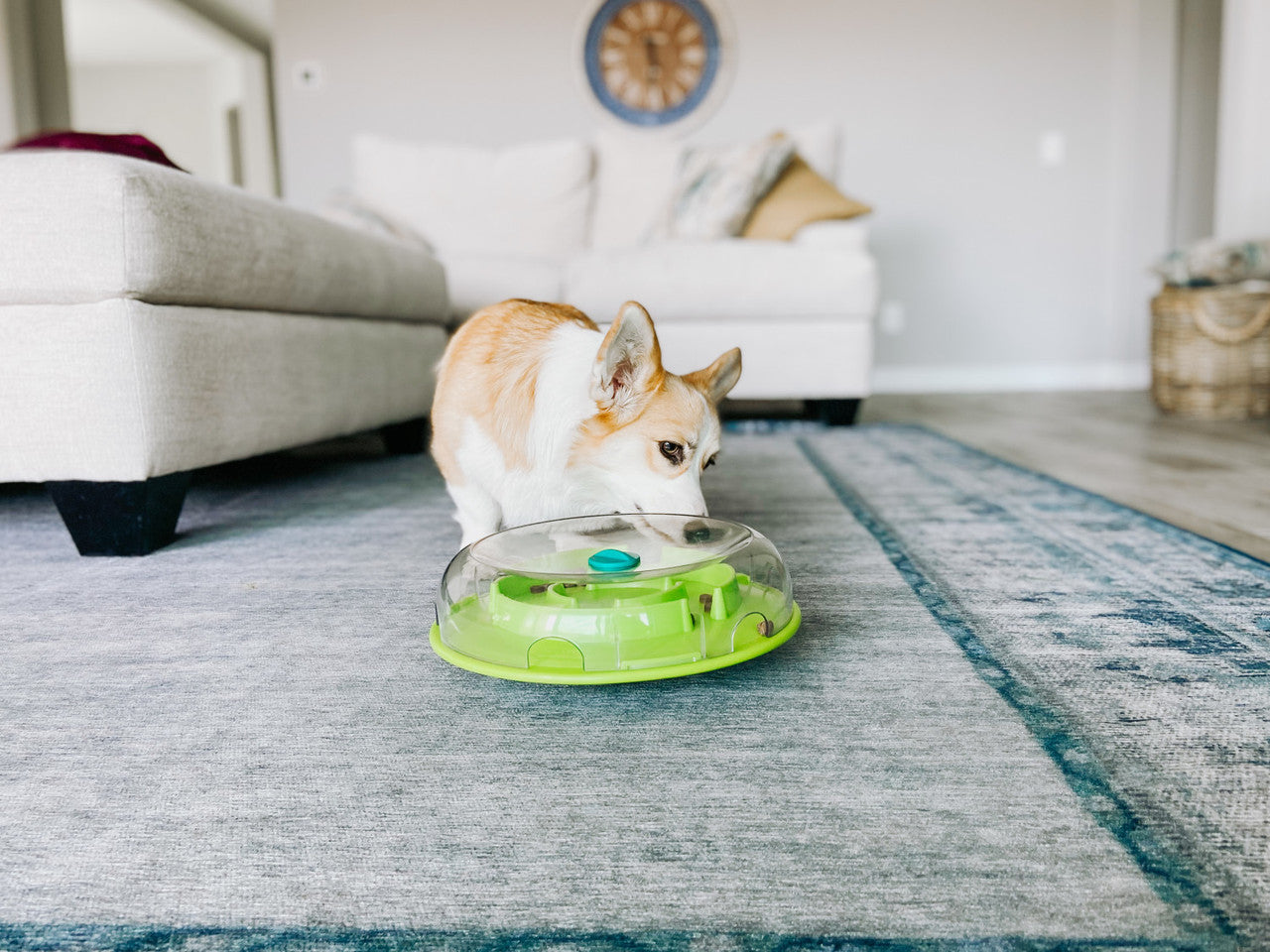 Wobble Bowl