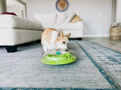 Wobble Bowl