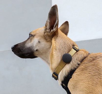 Suport AirTag Zee.Dog