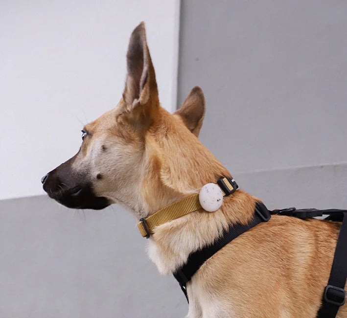 Suport AirTag Zee.Dog