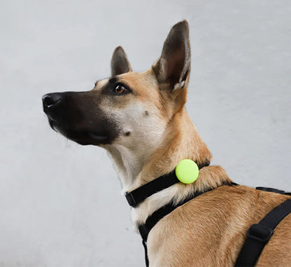 Suport AirTag Zee.Dog