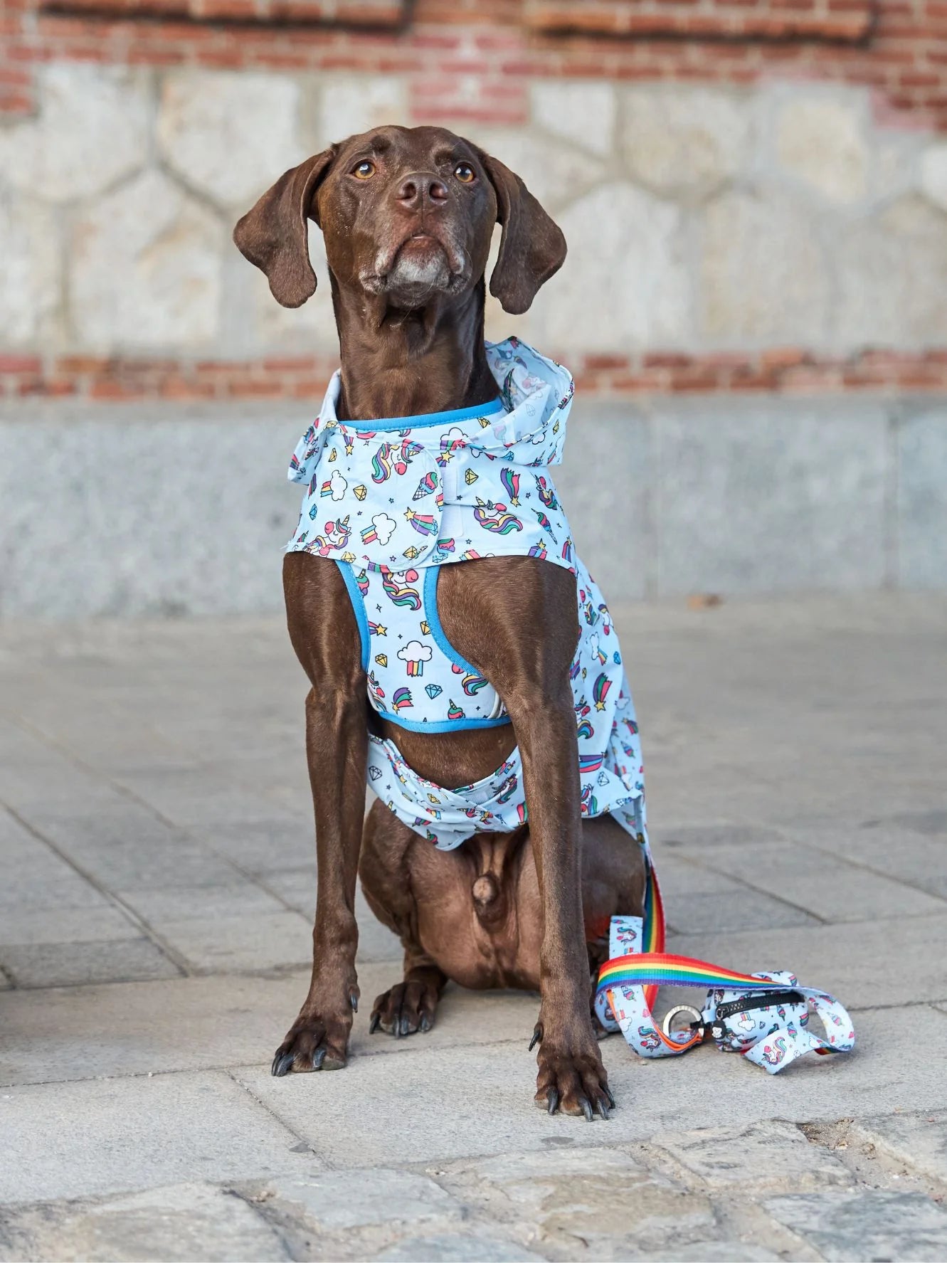 Pelerină de ploaie Unicorns