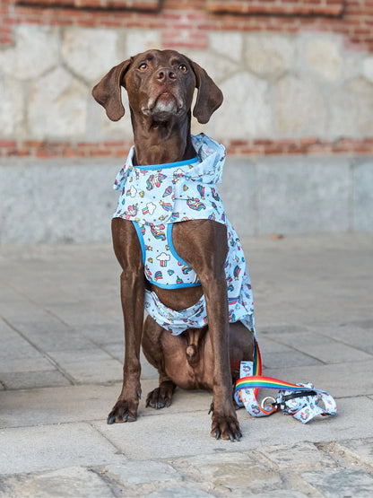 Pelerină de ploaie Unicorns