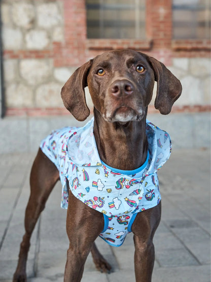 Pelerină de ploaie Unicorns